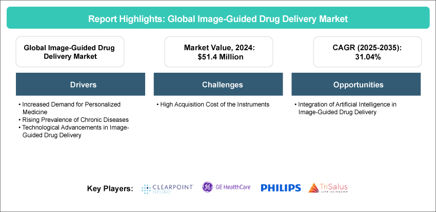 Image-Guided Drug Delivery Market